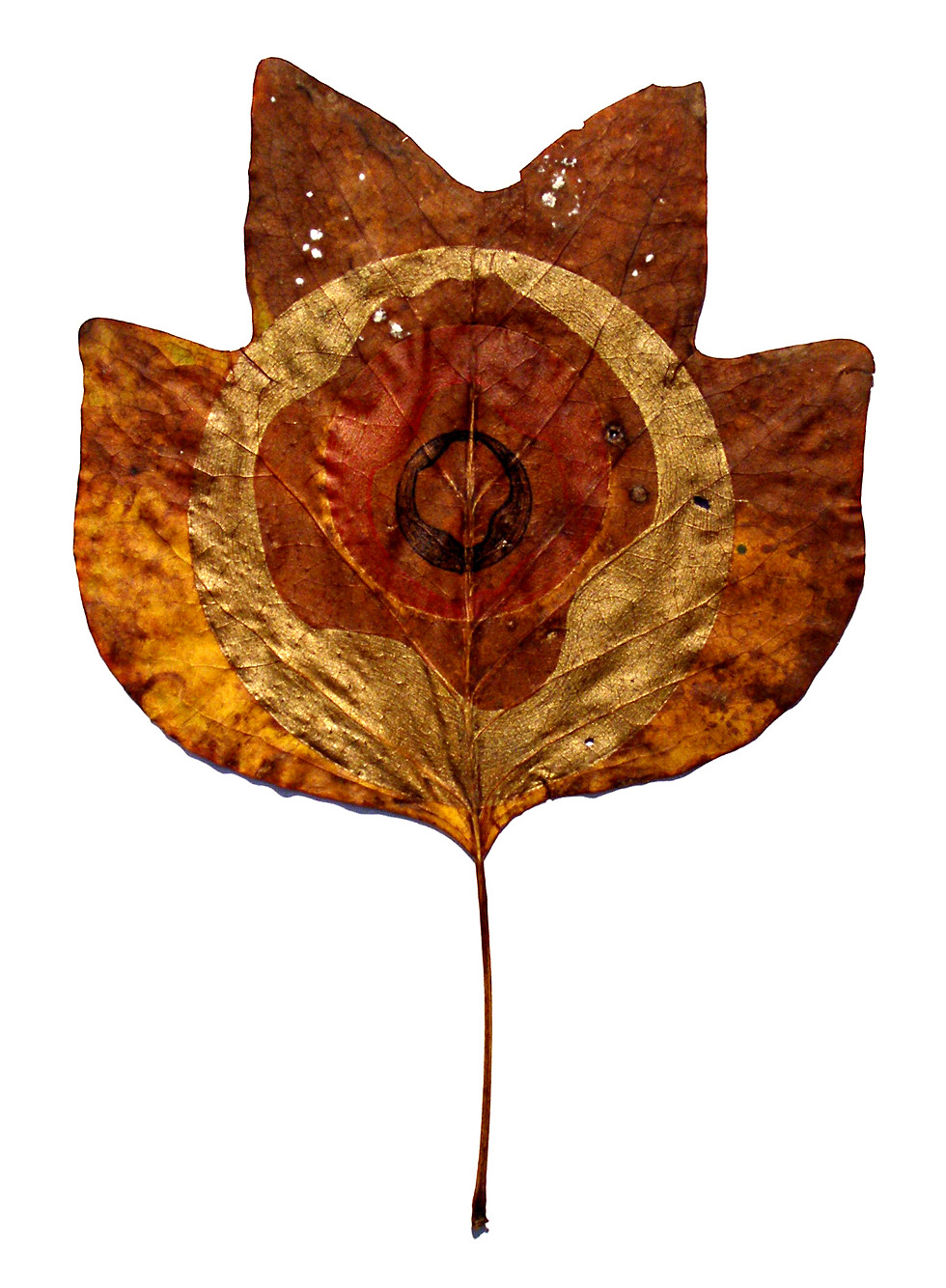 Tulip Leaf Print  by <a href='http://www.jessicabaker.net' target='_blank'>Jessica Baker</a>